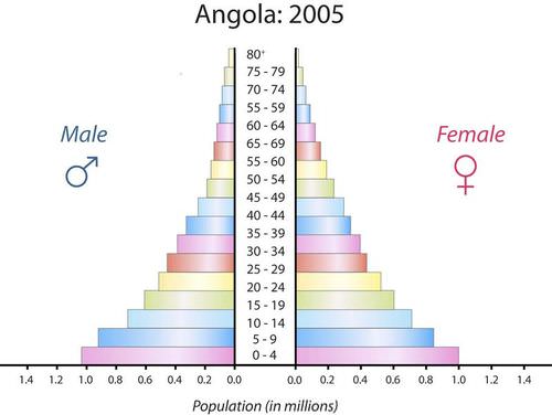 Angola's population pyramid is typical of Stage 2 demographic transition
