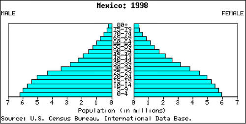 Mexico's population pyramid is typical of Stage 3 population