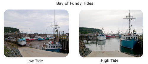The intertidal zone can be identified in by comparing these pictures of high tide and low tide