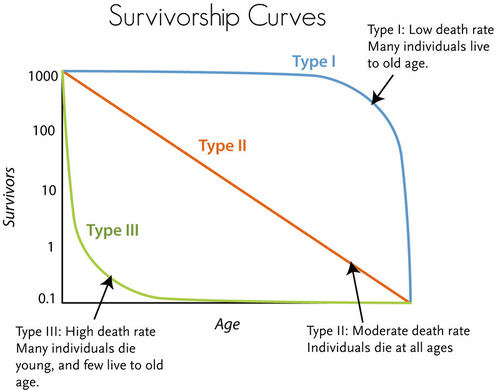 Survivorship curves reflect death rates at different ages
