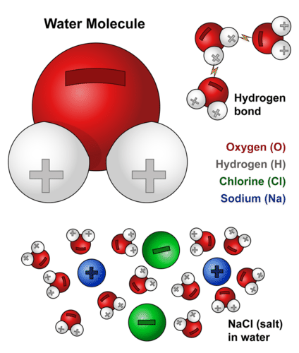 Structure of water molecule and solvation