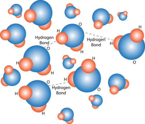 Hydrogen Bonding in Water Molecule