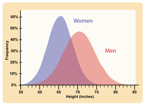 Human adult height distribution