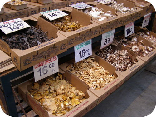 Edible types of mushrooms