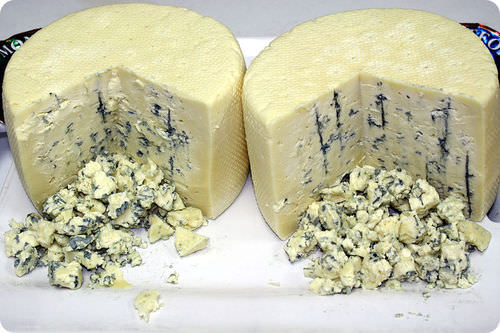 Blue cheese has mold growing in it.