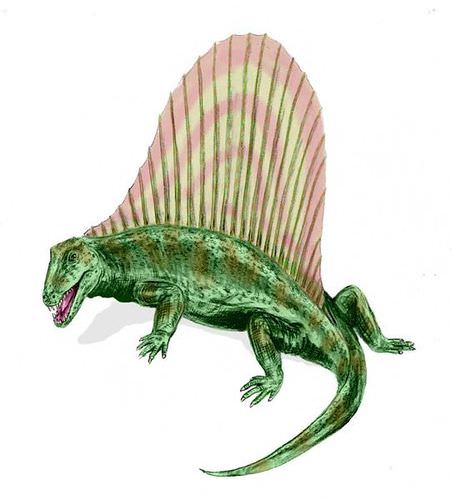 Dimetrodon illustration: pelycosaur