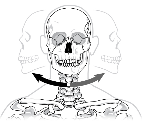 L'illustration montre un crâne humain se tordant d'avant en arrière sur le cou dans un mouvement semblable à un pivot.