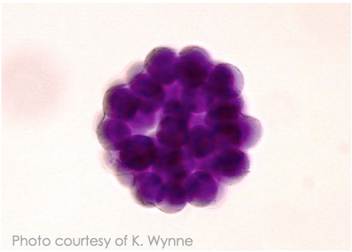 Screen Shot 2019-06-23 at 7.25.26 PM.png