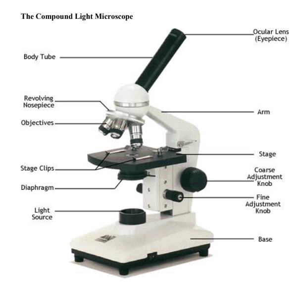 compoundLightMicroscope.PNG