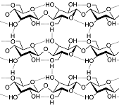 5: Biomolecules