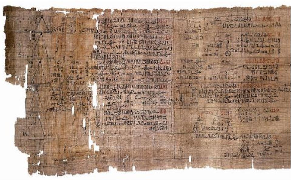 Papyrus.JPG