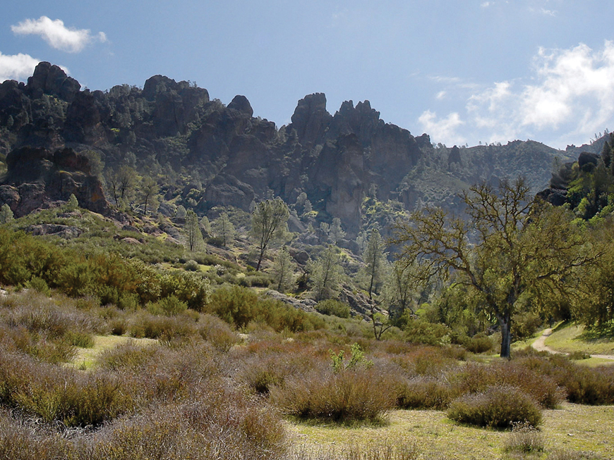A foto mostra uma paisagem com muitos arbustos, grama adormecida, algumas árvores e montanhas ao fundo.