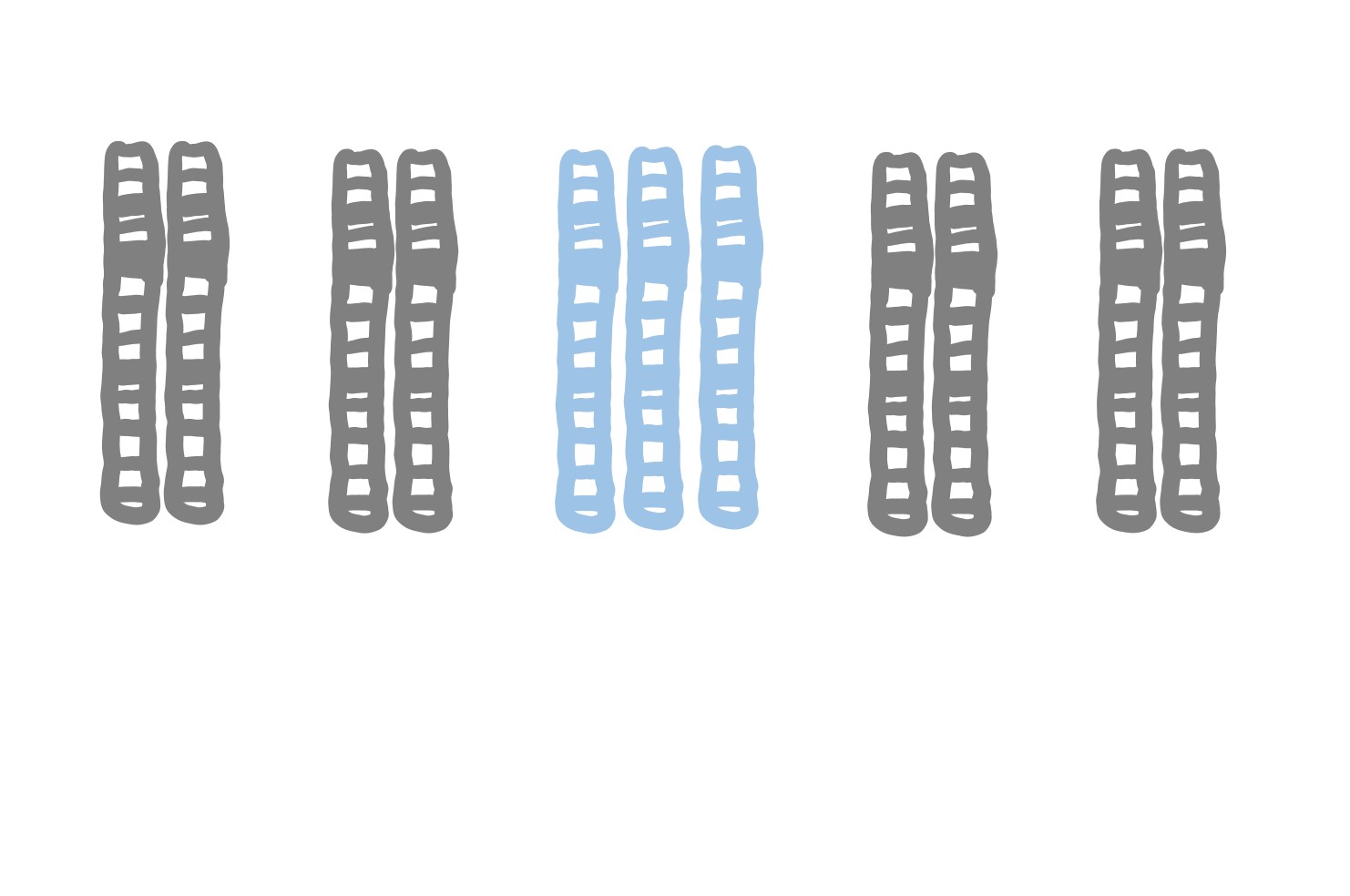 5: Chromosome variation