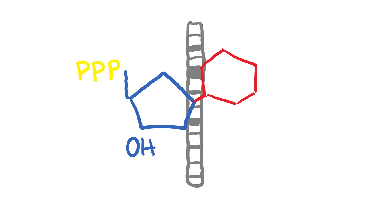 mindtouch.page#thumbnail