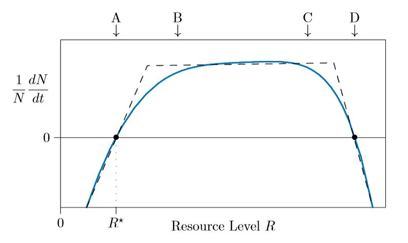 Crecimiento curve.JPG
