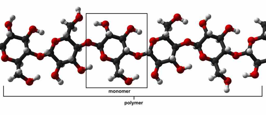 monomer and polymer2.jpg