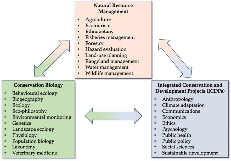 Arrows connect three boxes. One box labeled "Natural Resource Management" includes bulletpoints of agriculture, ecotourism, ethnobotany, fisheries management, forestry, hazard evaluation, land-use planning, rangeland, water, and wildlife management. A box labeled "Conservation Biology" includes behavioral ecology, biogeography, ecology, eco-philosophy, environmental monitoring, genetics, landscape ecology, physiology, population biology, taxonomy, and veterinary medicine. A last box labeled "Integrated Conservation and Development Projects" includes anthropology, climate adaptation, communications, economics, ethics, psychology, public health, public policy, social sciences, and sustainable development.