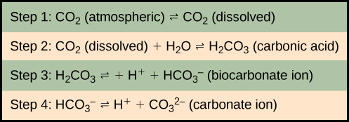  In step 1, atmospheric carbon dioxide dissolves in water. In step 2 dissolved carbon dioxide (CO2) reacts with water (H2O) to form carbonic acid (H2CO3). In step 3, carbonic acid dissociates into a proton (H plus) and a bicarbonate ion (HCO3 minus). In step 4 the bicarbonate ion dissociates into another proton and a carbonate ion (CO3 minus two).