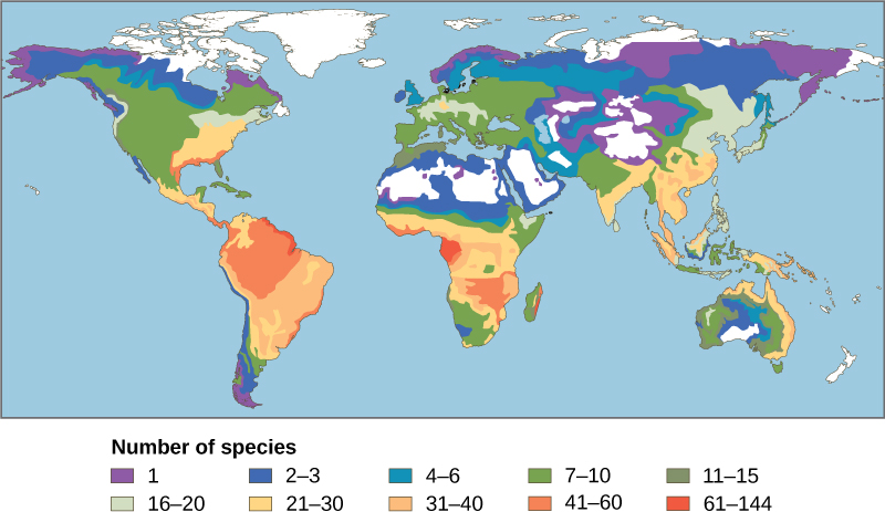 O número de espécies de anfíbios em diferentes áreas é especificado em um mapa mundial. O maior número de espécies, 61-144, é encontrado na região amazônica da América do Sul e em partes da África. Entre 21 e 60 espécies são encontradas em outras partes da América do Sul e da África, e no leste dos Estados Unidos e no sudeste da Ásia. Outras partes do mundo têm entre 1 e 20 espécies de anfíbios, com o menor número de espécies ocorrendo nas latitudes norte e sul. Geralmente, mais espécies de anfíbios são encontradas em climas mais quentes e úmidos.