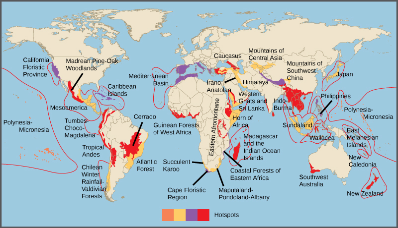 Los puntos críticos de biodiversidad se indican en un mapa mundial. La mayoría de los hotspots ocurren en regiones costeras y en islas.