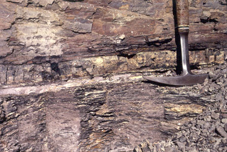La photo montre une roche sédimentaire avec une bande blanche distincte au milieu représentant la limite K—Pg. La roche située sous cette couche, qui présente de fines bandes de gris foncé et gris clair, a une apparence distincte de celle de la roche plus lisse et plus rouge au-dessus.