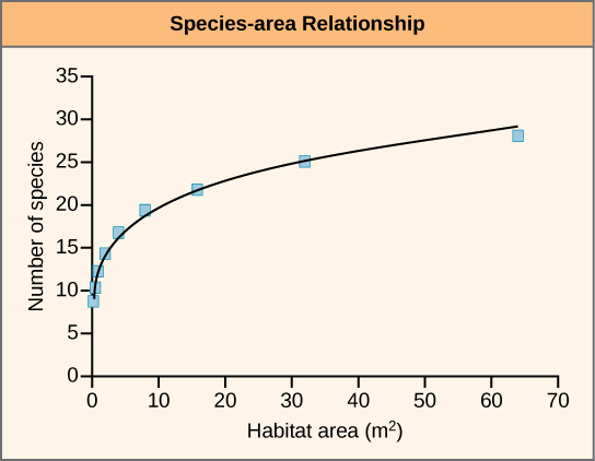 Um gráfico mostra o número de espécies presentes versus a área em metros quadrados. O número de espécies presentes aumenta como uma função de potência, de modo que a inclinação da curva aumenta acentuadamente no início, depois mais gradualmente à medida que a área aumenta.