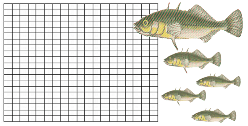 fish graph.png