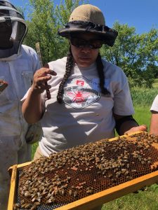 La apicultora con sede en Nueva México Melanie Kirby sostiene un marco de barra superior de abejas melíferas en el campo con un espectador en traje completo de abeja detrás de ella