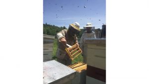 Kirk Webster sostiene un marco de abeja