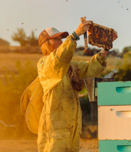 Sarah Red-Laird con traje completo de abeja y sombrero de camionero sostiene el marco de la abeja junto a la pila de colmenas en un campo