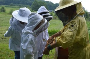 Sarah Red-Laird in full yellow bee suit shows bee frame to young people in bee suits