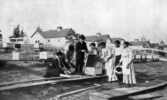 Seis mujeres afroamericanas están paradas alrededor de una colmena y levantando la cubierta. Un hombre con sombrero, que se presume que es el maestro, está parado en el centro