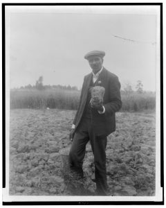 George Washington Carver parado en el campo, probablemente en Tuskegee, sosteniendo pedazo de tierra