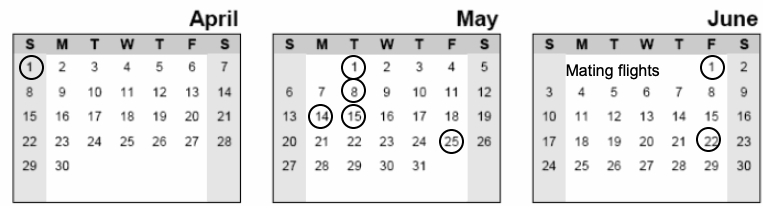 Ejemplos de páginas de calendario Abril, Mayo, Junio