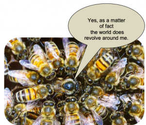 Las abejas melíferas rodean a una abeja reina y la burbuja de texto dice: Sí, de hecho el mundo gira a mi alrededor.