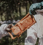 3: Tools and Resources for New Beekeepers