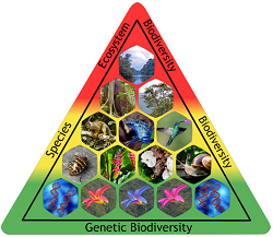 mindtouch.page#thumbnail