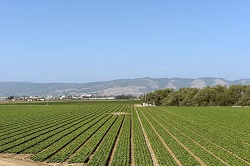 mindtouch.page#thumbnail