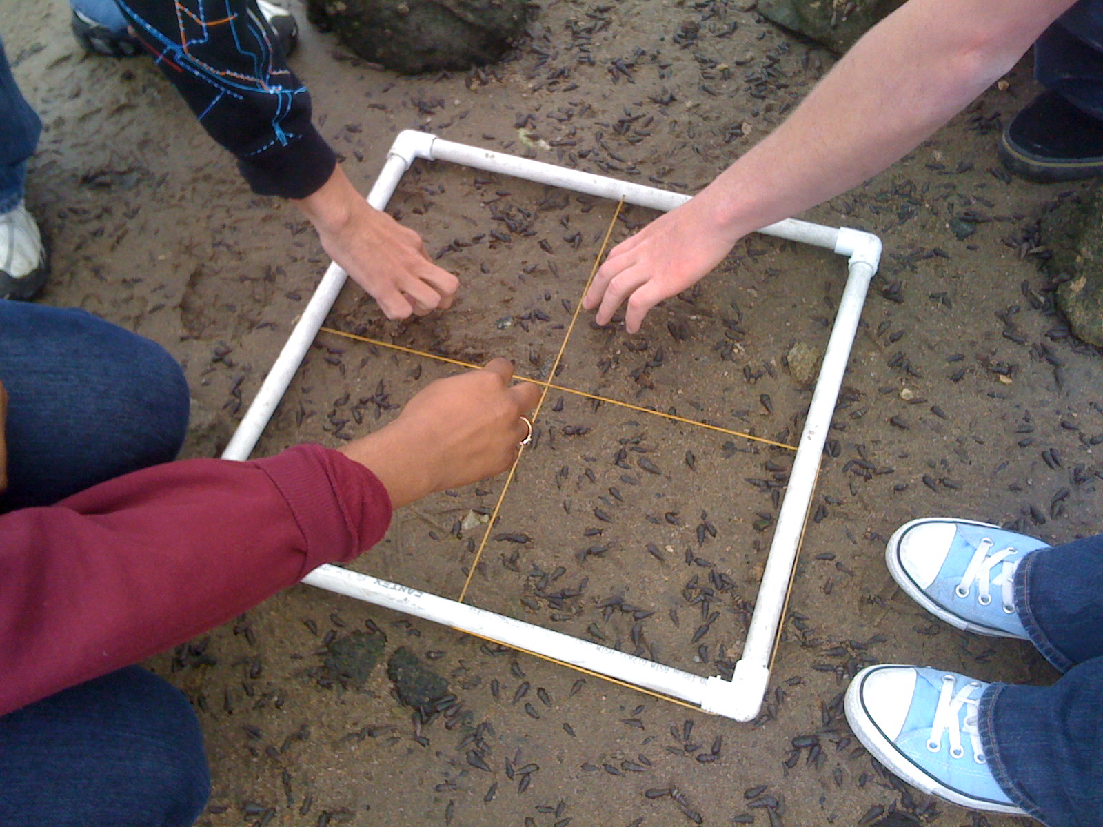 mindtouch.page#thumbnail