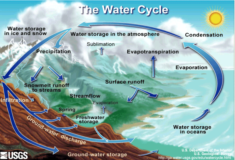 The Water Cycle shows each process (evapotranspiration, precipitation, condensation, etc.) labeled with an arrow as water moves among reservoirs