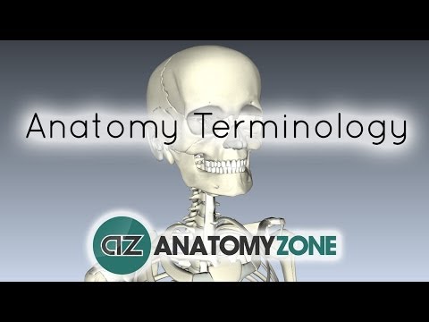 Thumbnail for the embedded element "Anatomy Terminology - Anatomy Tutorial"