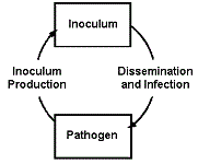4: How to be a Good Pathogen