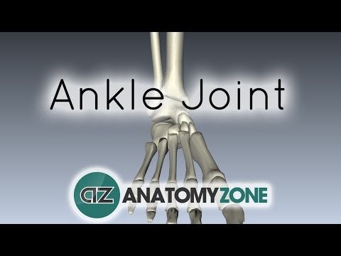 Thumbnail for the embedded element "Ankle Joint - 3D Anatomy Tutorial"