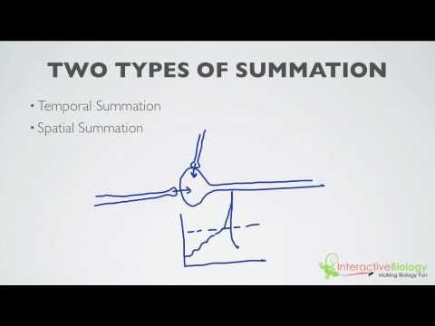 Thumbnail for the embedded element "019 What is Summation (2 Types)"