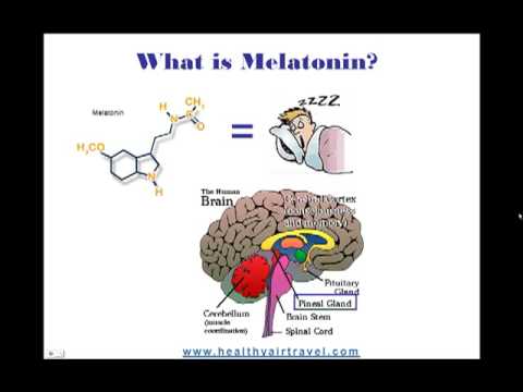 Thumbnail for the embedded element "What Does Melatonin Do? Melatonin Use Info"