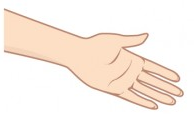 a human hand