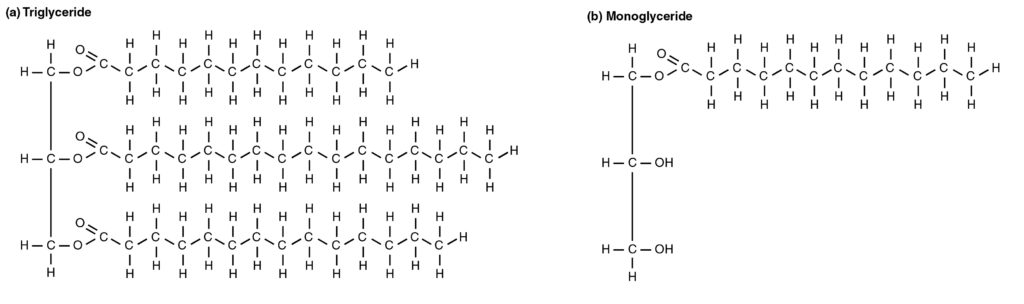 The top image shows the chemical formula for a triglyceride, and the bottom panel shows the formula for a monoglyceride.