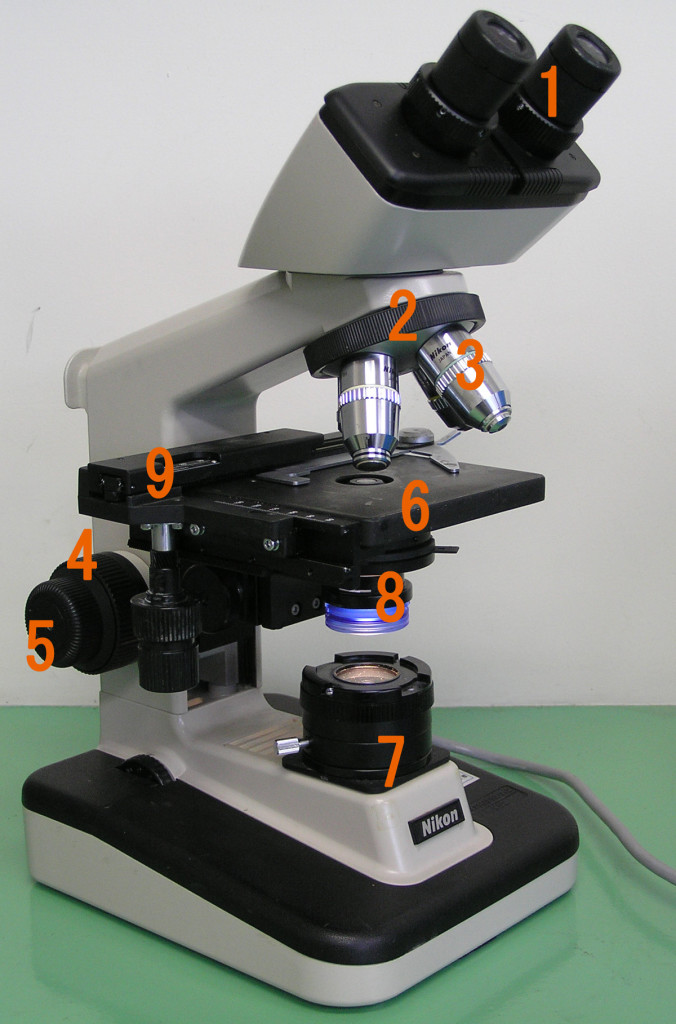 Nikon microscope with parts labelled.