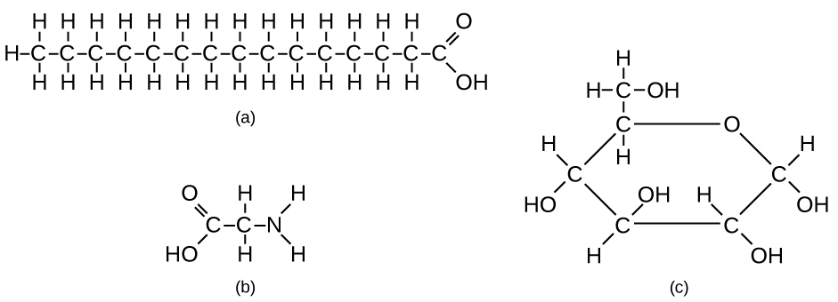 Examples of three different carbon-containing molecules. The first is stearic acid, which primarily composed of a chain of fifteen carbon atoms. The first carbon atom is bound to three hydrogen atoms: one on the left, one on the top, and one on the bottom. The next thirteen carbon atoms are bound to two hydrogen atoms: one on the top and one on the bottom. The fifteenth carbon atom is double bound to an oxygen atom and bound to a hydroxyl group. The second molecules is glycine (C 2 H 5 N O 2). The backbone of the structure is a short chain of two carbon atoms and a single nitrogen atom. The first carbon atom is is double bound to an oxygen atom and bound to a hydroxyl group. The second carbon atom is bound to two hydrogen atoms: one on the top and one on the bottom. The nitrogen atom is bound to two hydrogen atoms: one on the top and one on the bottom. The third molecule is glucose, which is formed in a hexagonal shape. Five points of the hexagon are carbon atoms; the sixth (and final) point is an oxygen atom. The oxygen atom is not bound to any atoms besides the carbons in the hexagon. Four carbons are bound to a hydrogen atom and a hydroxyl group. The fifth carbon atom (which is next to the oxygen atom in the hexagon ring) is bound to a hydrogen atom and a carbon atom. This carbon atom is also bound to two hydrogen atoms and a hydroxyl group.