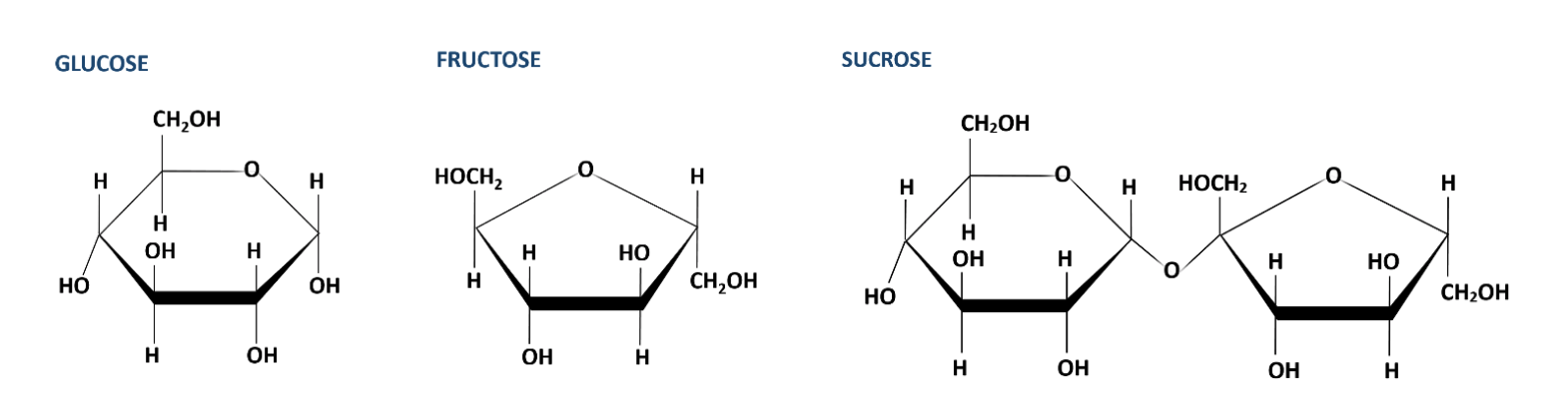 molecular structure of glucose, fructose and sucrose